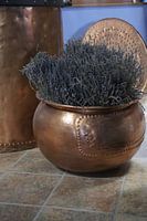 Pot met lavendel