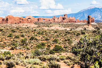 Arches National Park van Eric van Nieuwland