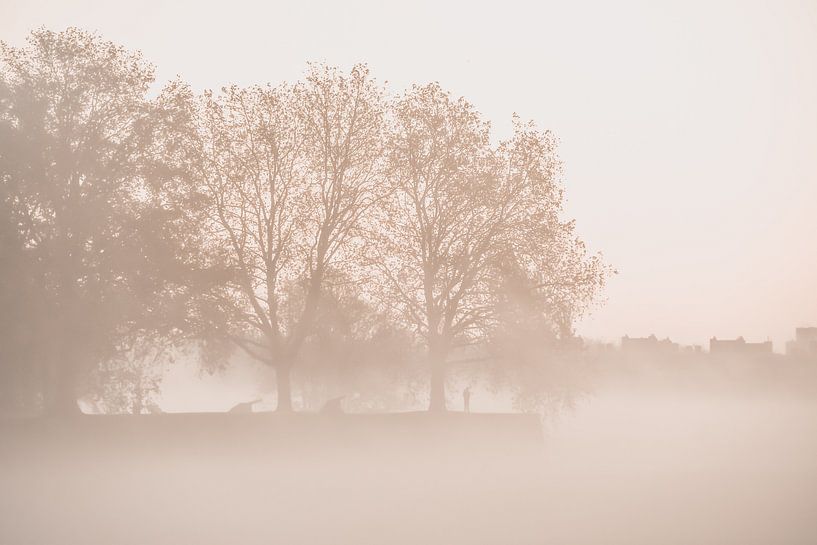 Bossche Broek II by Frederike Heuvel