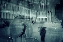 Besnaarde stad. Oftewel: de etalage van een vioolbouwer in Zutphen. by Anneriek de Jong