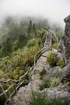 Gewundener Bergpfad von Dick Carlier