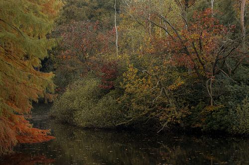 Kleurrijk herfstpalet
