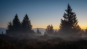 De magie van de ochtend van Steffen Henze