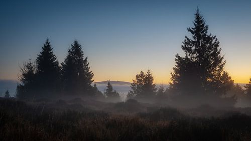 De magie van de ochtend van Steffen Henze