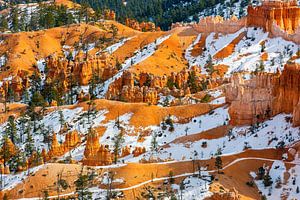 Winter im Bryce-Canyon-Nationalpark, Utah