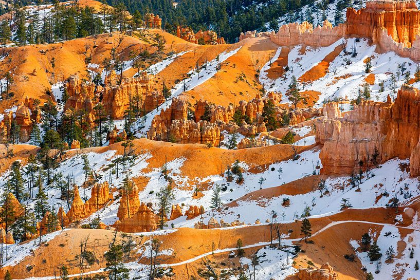 L'hiver dans le parc national de Bryce Canyon, Utah par Henk Meijer Photography