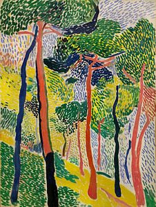 Une forêt vivante