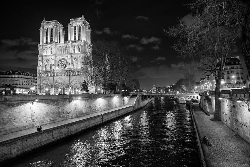Notre Dame in Parijs van Loek van de Loo