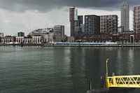 Katendrecht und das Wassertaxi.