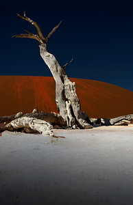 Nacht im Dead Vlei