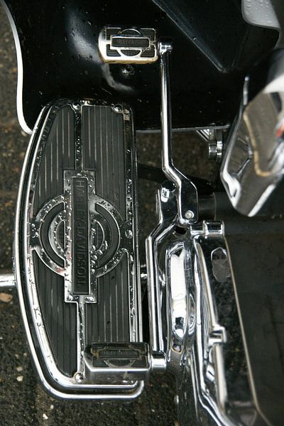 Harley van Rene de Sain