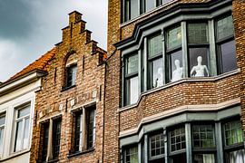 Stille Beobachter im Fenster von Patrick Kilb