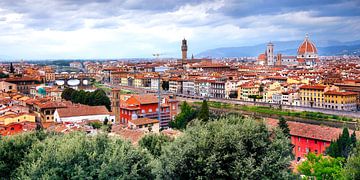 Uitzicht over Florence van Roy Poots