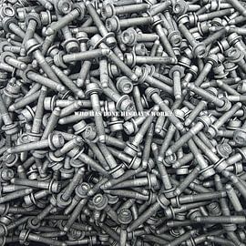 I contain multitudes van Jack Wilms