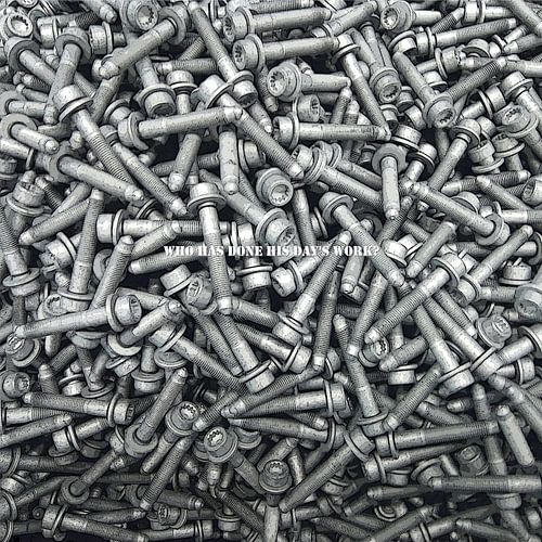 Ich bin ein Vielgestaltiges