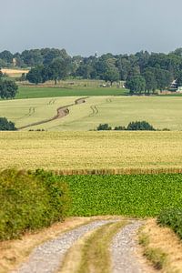 Typisch Zuid-Limburgs landschap in de buurt van Simpelveld von John Kreukniet