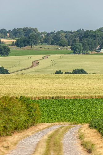 Typisch Zuid-Limburgs landschap in de buurt van Simpelveld