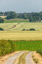 Typisch Zuid-Limburgs landschap in de buurt van Simpelveld van John Kreukniet thumbnail