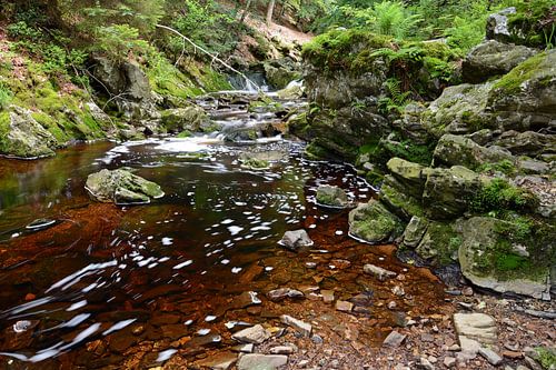 Wildbach