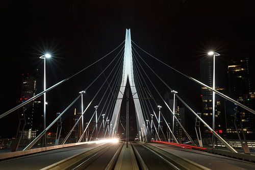 Erasmusbrücke am Abend