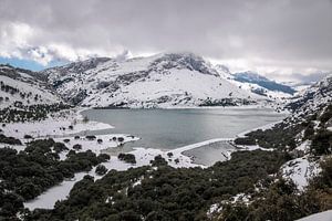 Stausee Embassament de Cuber im Winter, Mallorca