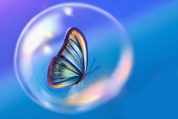 Papillon coloré dans une bulle sur Maud De Vries
