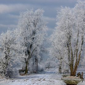 Rouveen, Winter