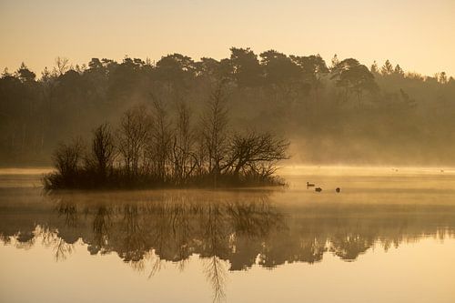 Golden hour at the fen in Oisterwijk