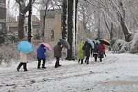 Kleurrijke sneeuwstorm