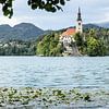 zicht op beroemde kerk in het meer van Bled in Slovenië van Eric van Nieuwland