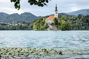 Blick auf die berühmte Kirche am Bleder See in Slowenien