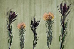 botanisch