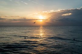 Sonnenuntergang mit Surfern im Wasser und einem Vogel am Himmel von Bali Nusa Lembongan, Indonesien von Twan Bankers