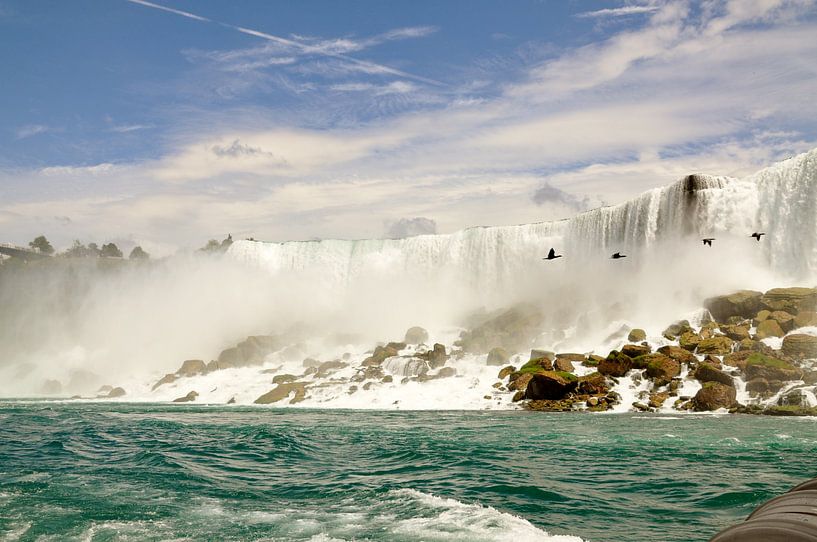 Vögel an den kanadischen Niagarafällen von Lucie Lindeman
