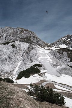 Alpes autrichiennes enneigées au début du printemps