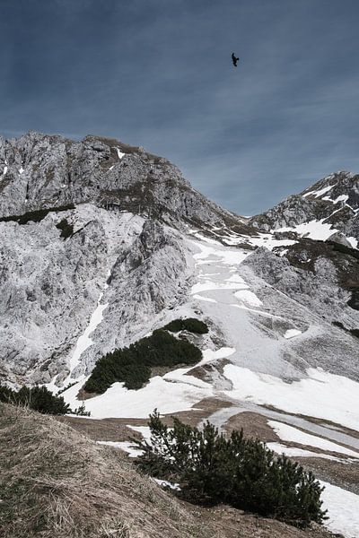 Austrian Alps in early spring with snow by RAW & Refined