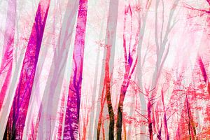 Sommer Wald