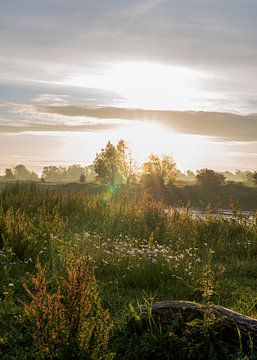 Ooijpolder Teil 5 von Tania Perneel