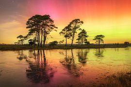 Noorderlicht op het Dwingelderveld. van Marco Lok