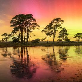 Nordlicht auf dem Dwingelderveld. von Marco Lok