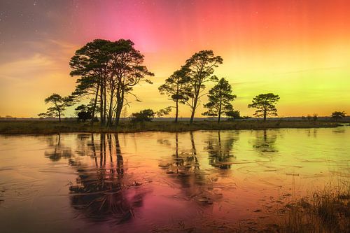 Noorderlicht op het Dwingelderveld.