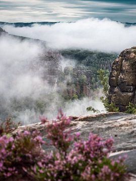 Reitsteig, Suisse saxonne - Vue brumeuse près de Neue Wenzelwand sur Pixelwerk