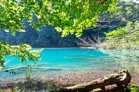 Tissé dans la brume : l'enchantement des lacs de Plitvice