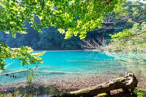 Tissé dans la brume : l'enchantement des lacs de Plitvice sur Jeroen de Weerd