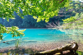 Im Nebel verwoben: Der Zauber der Plitvicer Seen