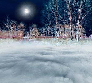 Paysage magique avec lune.