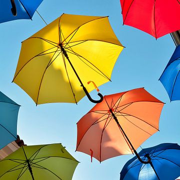 Umbrellas as decoration or artwork above an alley in the old town of Novigrad by Heiko Kueverling