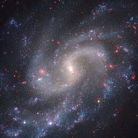 Spiral galaxy NGC 5584 by NASA and Space