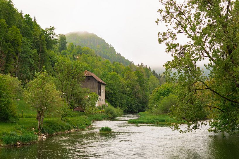 Border France Switzerland by Martijn Diepenbach