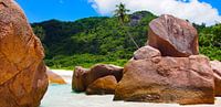 Anse Cocos, La Dique - Seychelles von Van Oostrum Photography Miniaturansicht